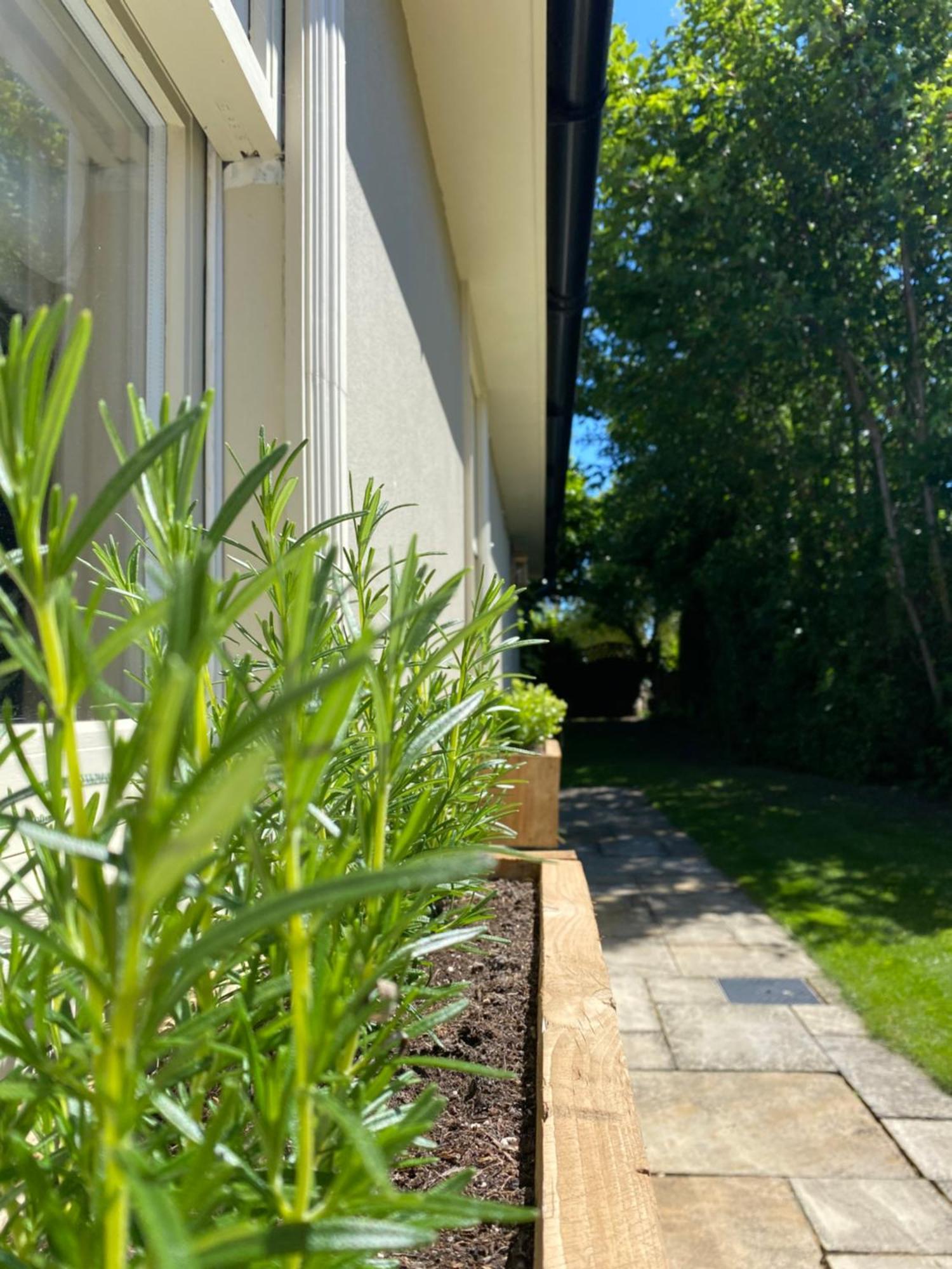 Enchanting 1 Bedroom Home With Kitchen Saffron Walden Eksteriør billede